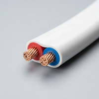 Hochleitfähiges RVVB Doppelflachkabel Größen 2x0,75 2x1,0 2x1,5 Weiße Abdeckung Rot Schwarz 300/450V Nennspannung