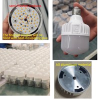 Lampe LED pour poulailler rouge/blanc, dimmable 0-100%, 2700K-6500K, étanche IP66, sans scintillement, ampoule pour poulets, garantie 5 ans