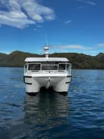 Bateaux de pêche en aluminium Gospel Boats, catamaran soudé de 11,6 m x 4 m, double coque, cabine offshore