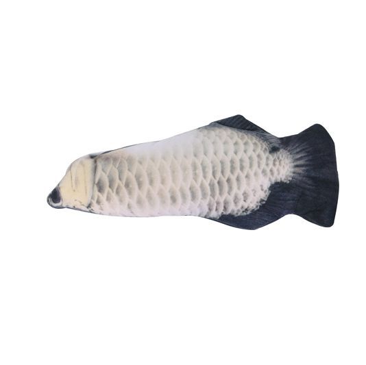 Plata Arowana
