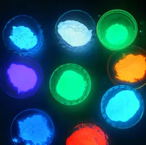 12 Farben leuchten in den dunklen Nägeln leuchtpigmentpulver