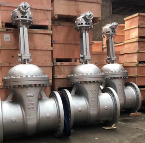 API PN16 CLASS 300 DN50-DN400 Manual Base Cast Iron/Carbon Steel Gate Valve - Product Image 1
