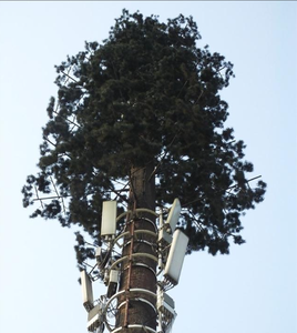 자연보호구역 및 관광섬을 위한 튼튼한 생체공학 나무형 부식방지 통신탑 - Product Image 2