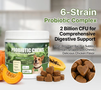Approvisionnement direct usine OEM : Friandises à mâcher probiotiques naturelles pour chiens, complexe 6 souches, L-Glutamine, BCAA, huile de saumon, soutien digestif