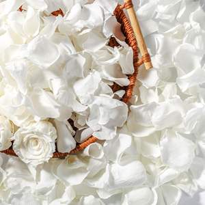 1kg putih asli diawetkan kering kelopak bunga alami pernikahan Valentine meja makan malam pesta Confetti pengantin dekorasi mandi - Product Image 1