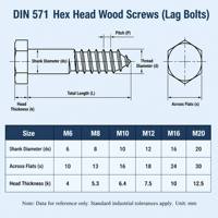 304 316 Stainless Steel Hexagon Wood Screws DIN 571 Metric Lag Bolts M6-M12 Anti-Rust Fasteners for Timber Construction