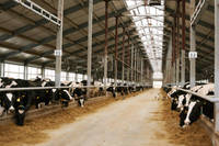 Abri agricole préfabriqué en acier de conception moderne pour l'élevage de chèvres et de moutons à usage agricole