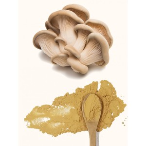 Extrato de Cogumelo Ostra Halal Qinshantang 50% em Pó, Polissacarídeos 30% em Pó de Extrato de Cogumelo Ostra - Product Image 1