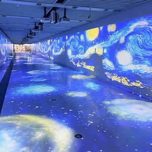 Pantalla de Proyección Holográfica Transparente 3D Inmersiva para Galería de Arte - Product Image 2