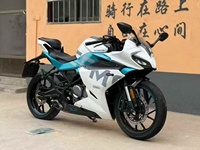 250SR d'occasion, édition bras oscillant simple, pour activités sportives de loisirs à vitesse intense, cylindrée 250cc