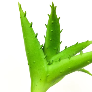 Suculentas Artificiales, Aloe <span class=keywords><strong>Vera</strong></span> Gigante Invertido, Material <span class=keywords><strong>de</strong></span> PVC Ecológico Realista, Planta Decorativa para Hogar, Jardín y Oficina - Product Image 3