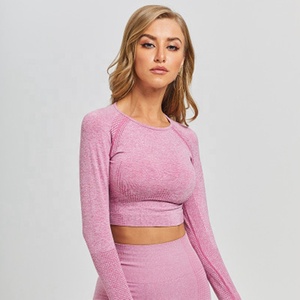 Ropa de gimnasio Camiseta de <span class=keywords><strong>manga</strong></span> <span class=keywords><strong>larga</strong></span> <span class=keywords><strong>Fitness</strong></span> Yoga prenda superior corta sin costuras <span class=keywords><strong>Top</strong></span> deportivo - Product Image 2