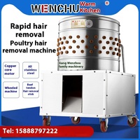 Machine commerciale automatique de plumeuse à volaille en acier inoxydable pour 3 oiseaux (poulet, canard, oie, caille) 220V
