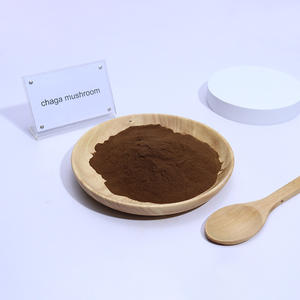 공장 공급 천연 차가 버섯 추출물 30% 다당류 분말 유기농 차가 버섯 분말 - Product Image 6