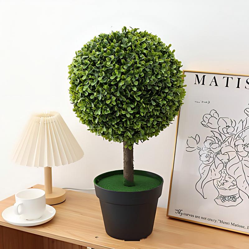 ถั่วลิสงไม้ยืนต้น-50ซม