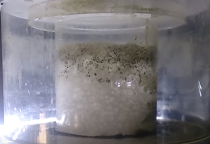 Cowater 2024 mới Desgin trong nhà nuôi cá 200 t/h nuôi trồng thủy sản tốt bong bóng Protein Skimmer - Product Image 2