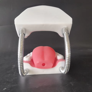 Modèle dentaire grossissant 6X, outil de pratique de nettoyage des dents, modèle d'enseignement d'hygiène bucco-dentaire pour l'éducation au brossage en maternelle - Product Image 3