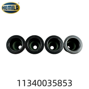 HEMILA Запчасти для автомобилей BMW N20/B48/N52 OE: 11340035853 Сальник впускного и выпускного клапанов двигателя - Product Image 2