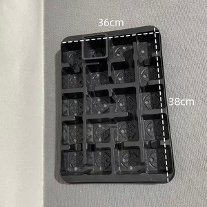 Plateau de plantation rectangulaire en PET écologique épaissi à 20 alvéoles pour fraises et légumes sur <span class=keywords><strong>balcon</strong></span> - Product Image 2