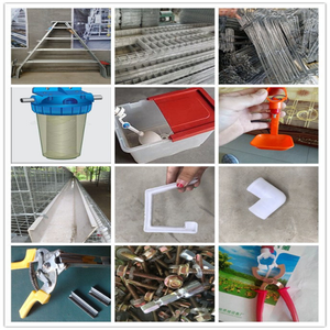 Cage à poules de type A à vendre, élevage avicole, cage à 3 ou 4 niveaux, cage à poules pondeuses pour utilisation à la ferme, cage à poules pondeuses - Product Image 5