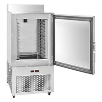 Congélateur vertical commercial en acier inoxydable, refroidi par air, sans givre, congélation rapide à -80 degrés, monotempérature