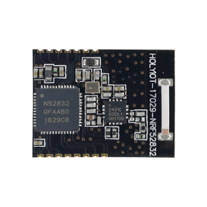 Módulo Receptor Bluetooth <span class=keywords><strong>Mini</strong></span> de Bajo Costo Holyiot, Hogar Inteligente, Nordic BLE <span class=keywords><strong>5.3</strong></span> NRF52832 - Product Image 1