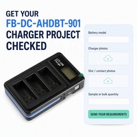 Cargador de Batería para Cámara de 3 Canales para FB-DC-AHDBT-901, Cargador USB Rápido de Triple Ranura para Venta al por Mayor y Personalización de Fábrica