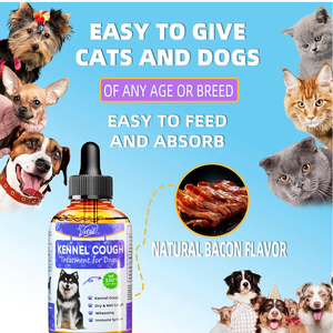 Köpekler için etkili köpek kulübesi öksürük tedavisi doğal bitkisel damla bağışıklık destek vitaminleri mineraller yatıştırıcı acı badem formülü - Product Image 4