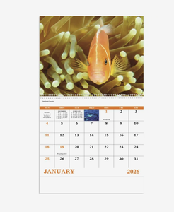 Calendari a Spirale Ocean Glory Personalizzati 2027, Regalo Promozionale con Logo Personalizzato, Qualità Premium all'Ingrosso - Product Image 1