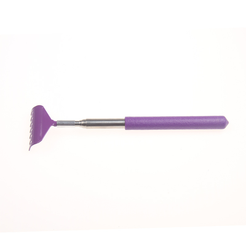 20-68cm purple