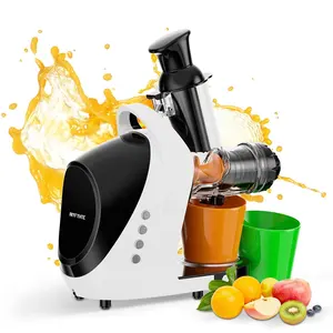 Professional Factory Commercial Electric Slow Juice Processor Juicer Slow Fruit Extractor Machine For Home