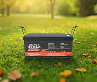 Baterai LiFePO4 12V 24V 50Ah hingga 600Ah. Untuk RV, Pilih Tegangan Anda, Pilih Ukuran Anda, Bluetooth, IP65, Garansi 10 Tahun.