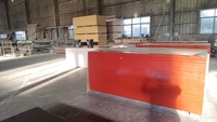 Venta Directa de Fábrica, Madera Contrachapada Recubierta con Película Antideslizante, Tablero Fenólico Impermeable de 18 mm y 25 mm, Certificado FSC para Materiales de Construcción