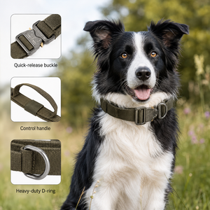 High Quality Heavy Duty Metal Buckle Pet Dog Training Collar Large Dogs Collar and Leash Set Tactical Dog Collar - Product Image 4