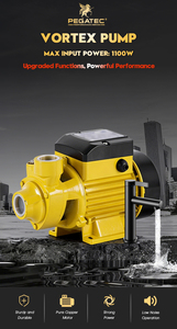 Pompe à gaz haute pression <span class=keywords><strong>Vortex</strong></span> en fonte pour usage domestique, pompes à turbine personnalisables OEM, théorie centrifuge pour eaux usées - Product Image 6