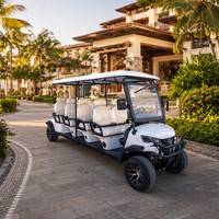 Carrito de Golf Eléctrico de 8 Plazas para Hotel o Resort, Batería de Litio de 72V, Color Personalizable Disponible