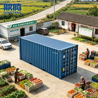 Chambre froide mobile de 20 pieds pour l'exportation, avec option solaire, pour projets d'approvisionnement en aliments surgelés à distance et détaillants