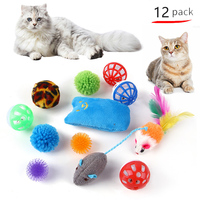 Variety Pack Ensemble de jouets d'intérieur pour chat Mélange avec Tunnel Souris Teaser Spring