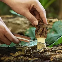 Best-seller Couteau de poche d'extérieur à cueillette personnalisé de haute qualité Manche en bois Couteau champignon avec brosse