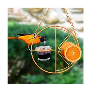 Mangeoire à oiseaux suspendue en métal toutes saisons avec gobelet en verre pour jardin Offre Spéciale orange <span class=keywords><strong>clémentine</strong></span> design colibri - Product Image 4