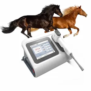 Cheval vétérinaire médical laser de haut niveau classe 4 thérapie équipement de rééducation de la cheville pour cheval/chat/chien