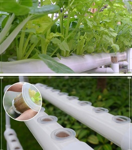 Lưới Nhựa PVC Lưới Nồi Cốc Xốp Chậu Trồng Cây Nhà Kính Nông Nghiệp Thủy Canh Vườn Trồng Rau Không Đất Canh Tác - Product Image 5