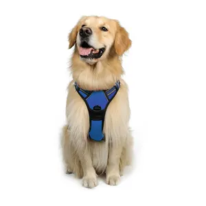 Oem Odm Ensemble harnais rembourré réfléchissant pour chien de service Laisse pour chien en corde de nylon personnalisée Harnais pour chien K9 à usage intensif sans traction