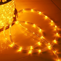 IP65 Warmweiße LED-Neonlichterkette für den Außenbereich, wasserdicht
