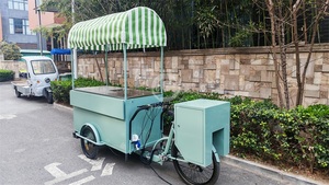 Tricycle mobile d'extérieur pour la livraison de nourriture, polyvalent 2-en-1, vélo et chariot à pousser, passage sans effort entre une remorque de vélo et un chariot à pousser - Product Image 5