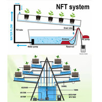 Système de culture verticale aquaponique de fraises AGG Greenhouse, système de canaux PVC NFT hydroponique, faible coût d'entretien