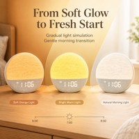 Réveil intelligent de table avec lumière d'aube, machine à bruit blanc pour le sommeil, 30 sons de sommeil, pour la maison et la table de chevet, OEM ODM personnalisé