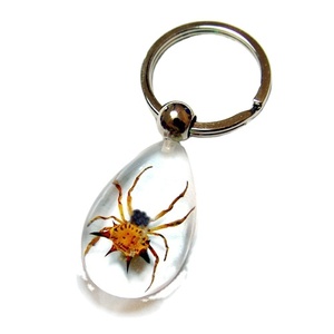 Cao trong suốt nước thả vàng thực Bọ Cạp côn trùng trong nhựa Keychain Acrylic vòng chìa khóa nhựa thủ công mỹ nghệ - Product Image 4