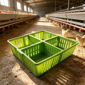 Caja de Transporte para Pollos Resistente con 4 Compartimentos, Caja Portátil para Transporte de Pollos en Granjas - Product Image 3