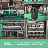 Máquina Termoformadora Automática de Alta Productividad para Vasos Desechables de Plástico PP Rayshape